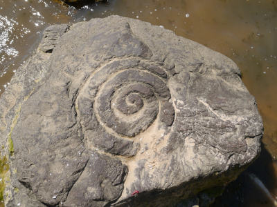 Author: Petroglyph Mobile Bay, Alabama